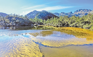 　螺髻山仙草湖。 涼山在線.jpg